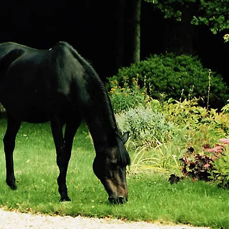 Bed & Breakfast Manoir Saint Hubert *